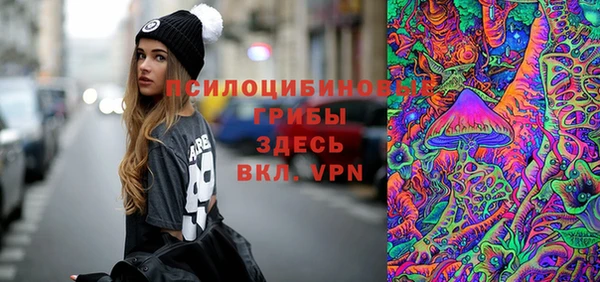 прущий лед Горняк