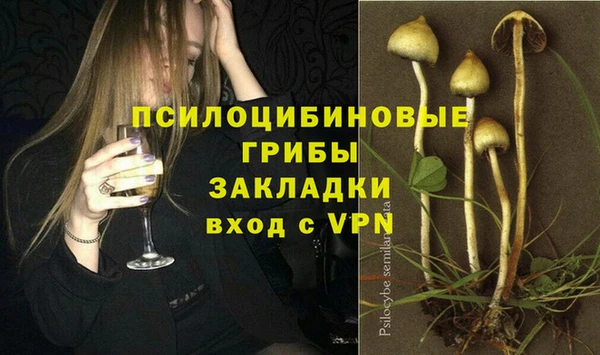 стафф Горно-Алтайск