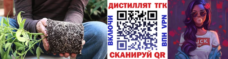 ТГК Wax Фёдоровский